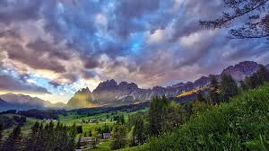 Picture